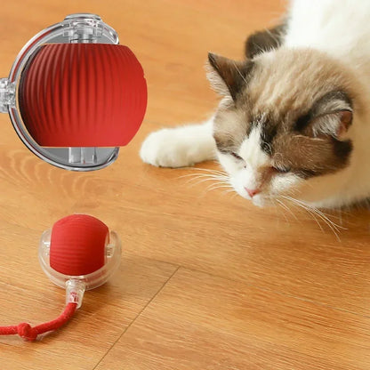 Electric Cat Ball Toys Automatic Rolling Ball Faux Tail Rechargeable Smart Pet Interactive Toy Dog Cat Training Imitate Mouse